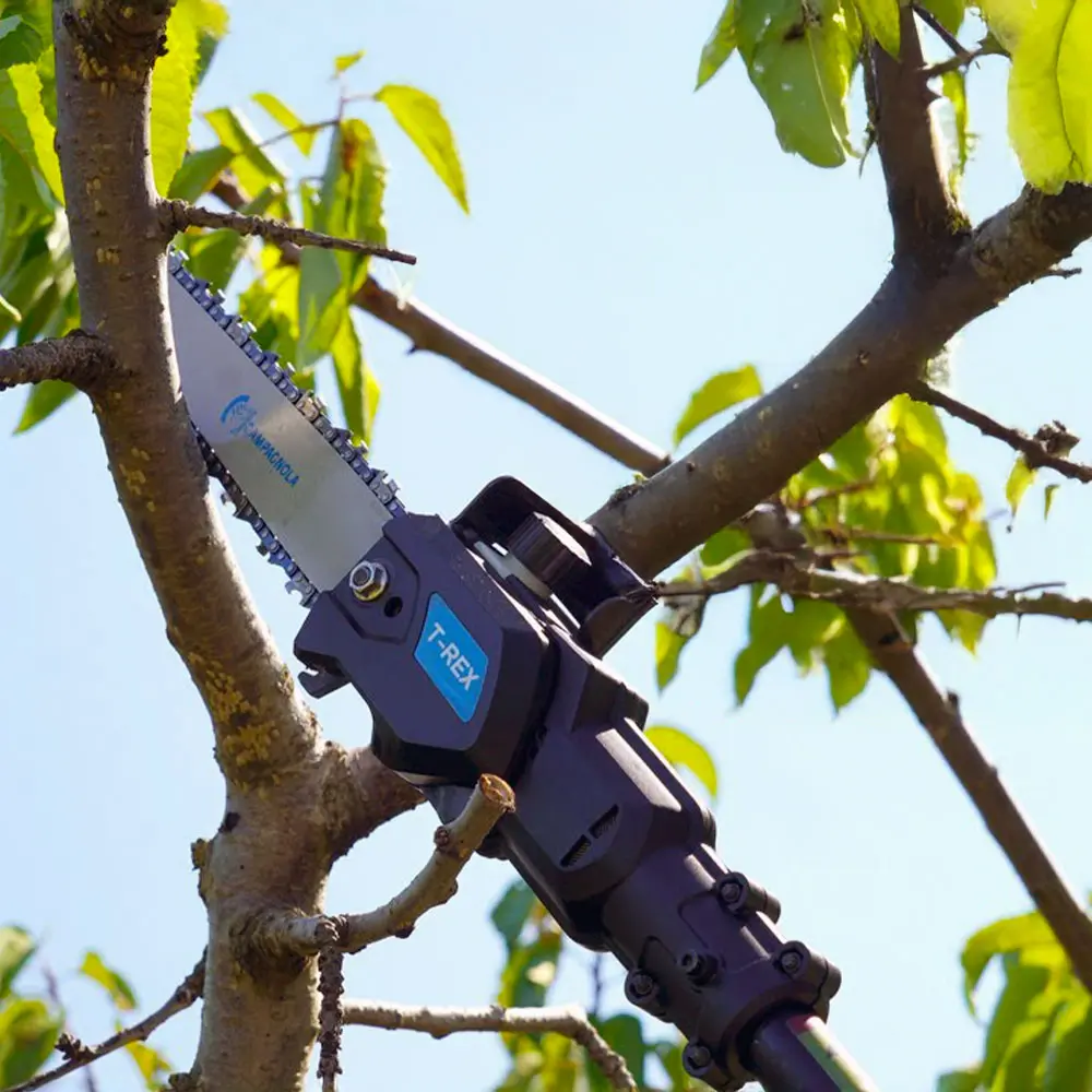 Campaglona T-Rex Akülü Teleskopik Yüksek Dal Budama Testeresi - Görsel 2