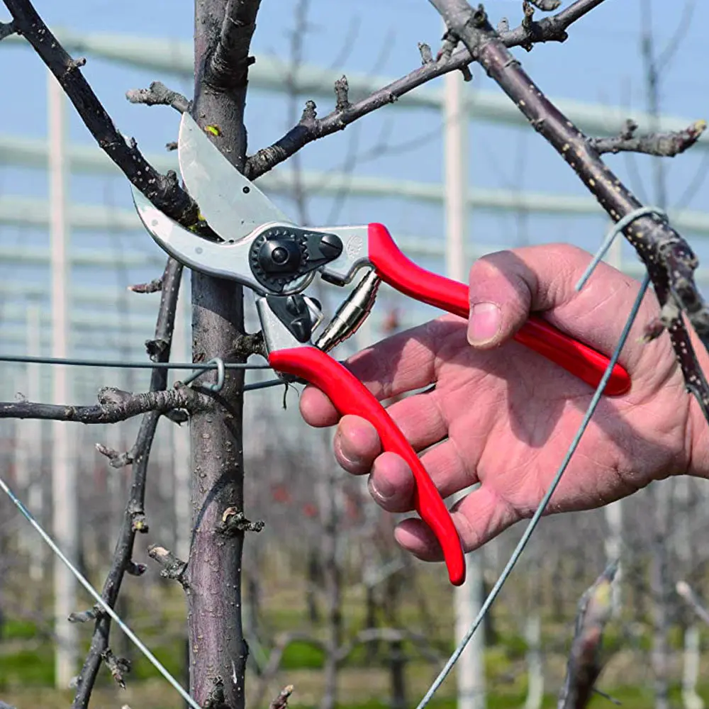 Felco 2 Dal Budama Makası 21,5 cm - Görsel 3