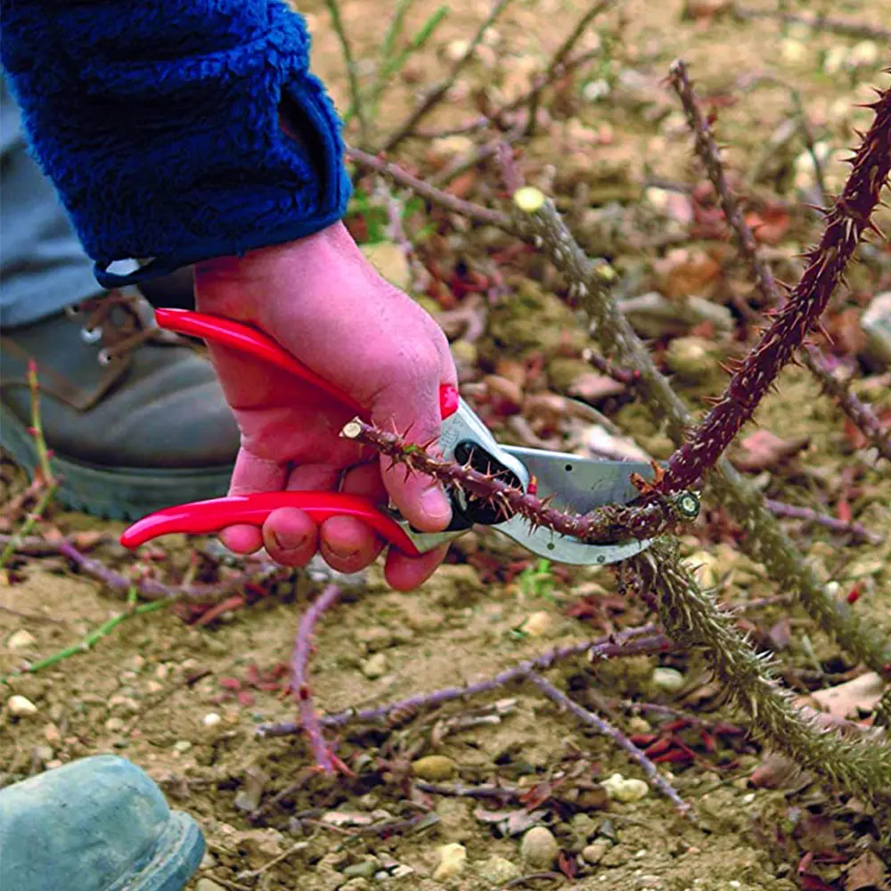 Felco 2 Dal Budama Makası 21,5 cm - Görsel 5