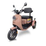 Kral Motor 3 Tekerlekli Elektrikli Triportör - Ankaa