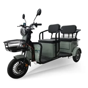 Kral Motor 3 Tekerlekli Elektrikli Triportör - Sarin