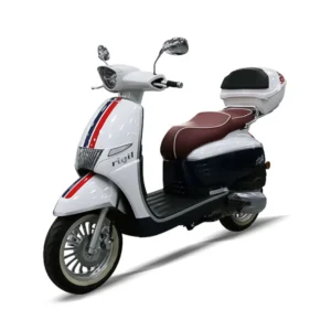 Kral Motor Benzinli Motosiklet - Rigil 125 cc