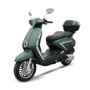 Kral Motor Benzinli Motosiklet - Vega 125 cc