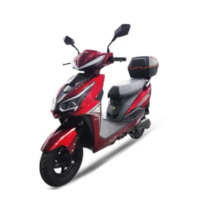 Kral Motor Elektrikli Motosiklet - Leonis