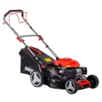 Palmera Dm51s-d196 Benzinli Şanzımanlı Çim Biçme Makinesi