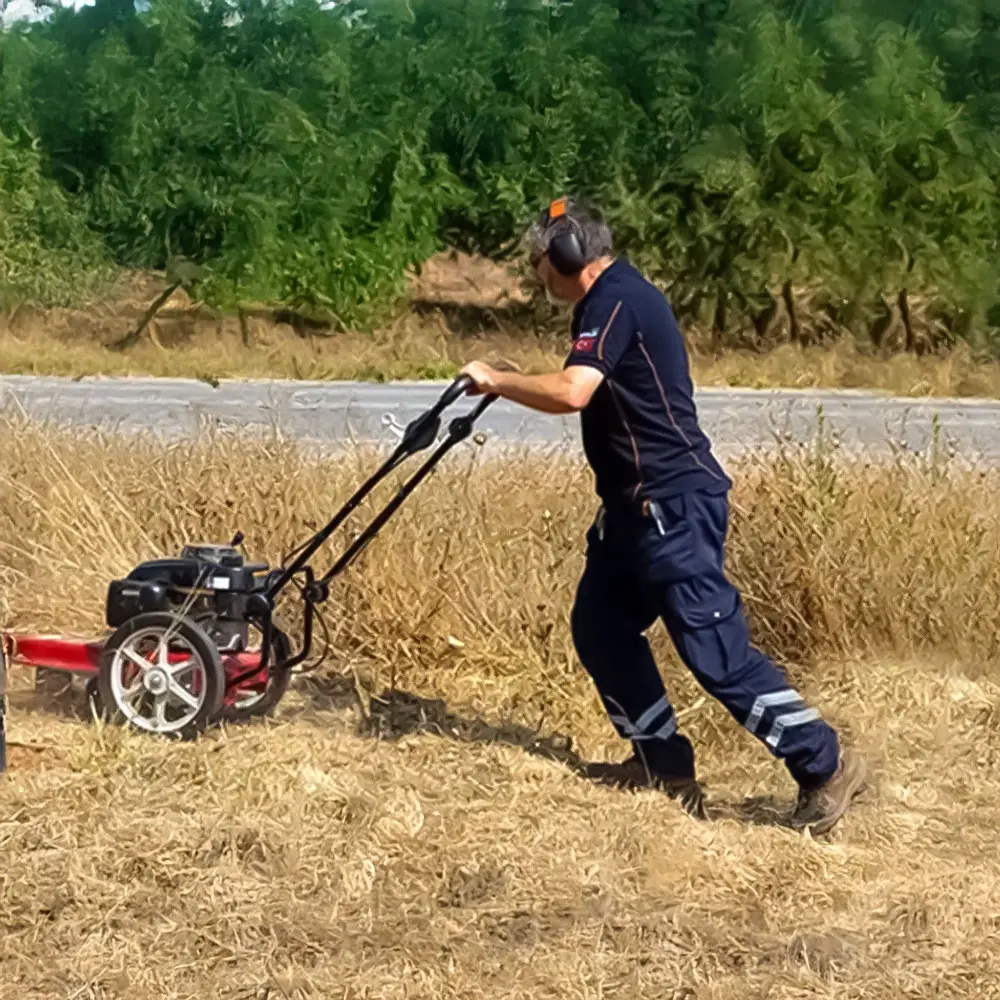 Palmera Pt160 Eur5 Benzinli Tekerlekli Tırpan - Görsel 3